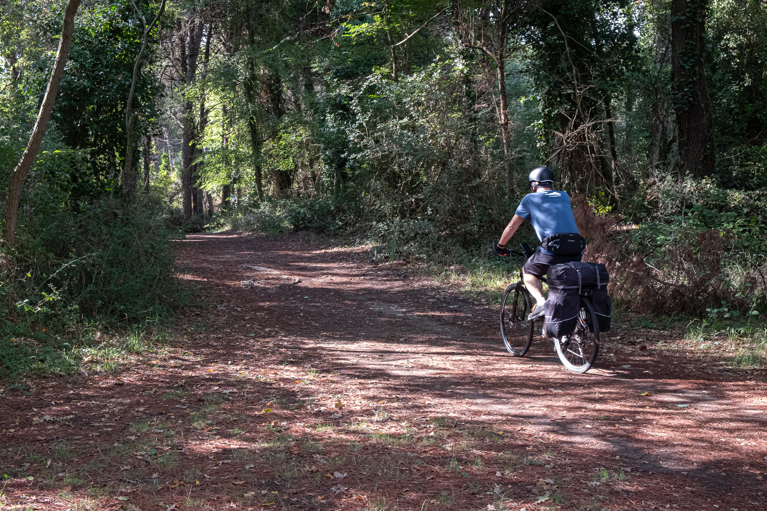 Waldweg durch die Pineta di Classe – Nadelteppich unter den Reifen